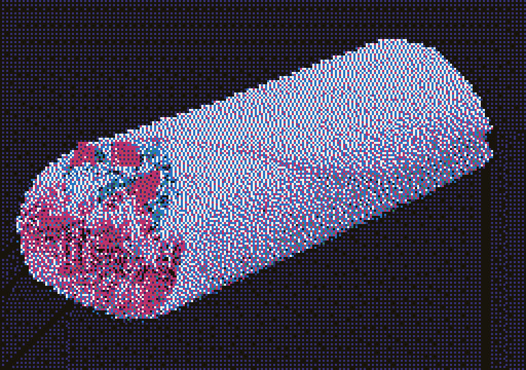 Burrito