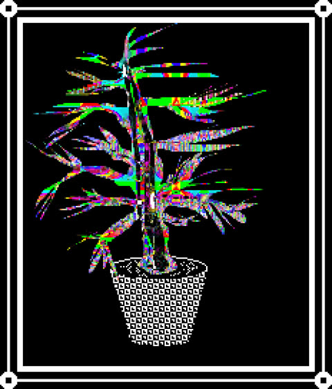 Eotusebore Gigantea