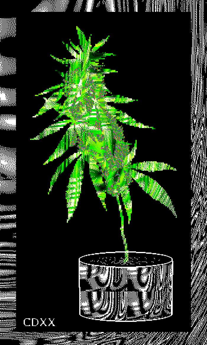 Digital Lemon Daemon