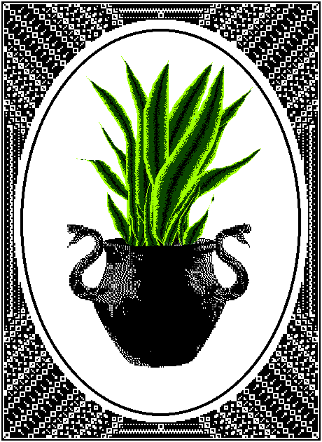 Santzvieria Tezfasciata