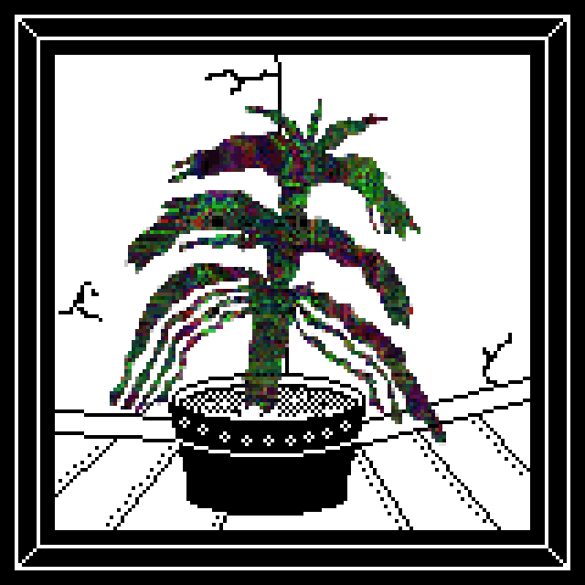 Tzword Fern