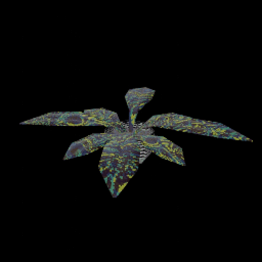 Tzplenium Nidus