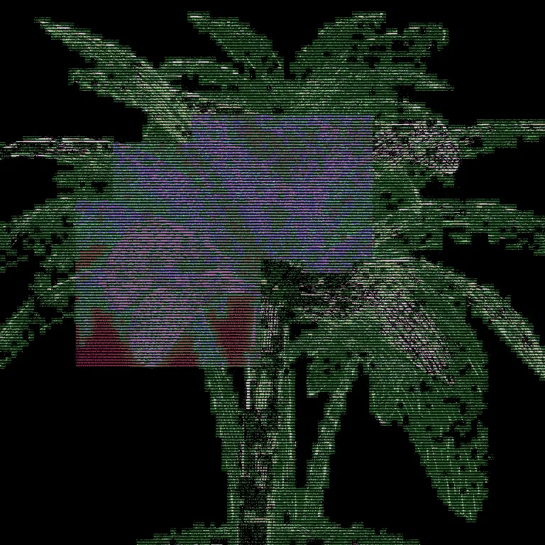 PALM_FILE:02
